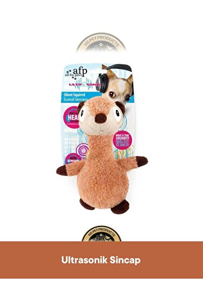 Afp Ultrasonic Squirrel Plush Dog Toy 22X16.7X9 cm