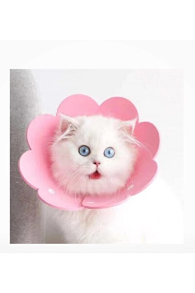 patici miss Keçe Elizabeth Yakalığı / Kedi Köpek Koruyucu Boyunluk