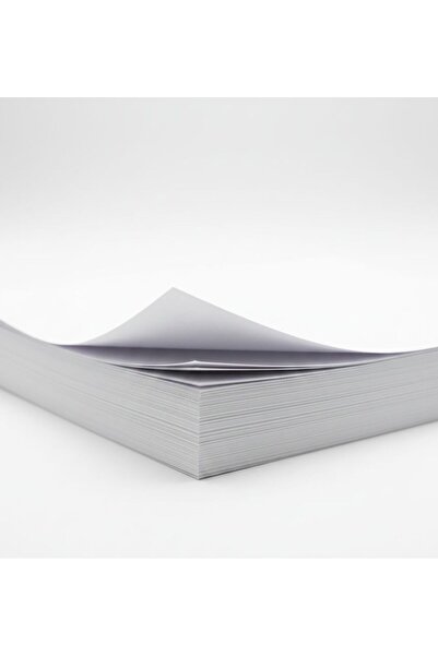 esila KAĞITÇILIK Dış Tic. Ltd. Şti. Amerikan Bristol Karton A4 210 gr - 100 A...
