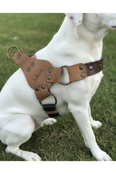 balkonda Dog Collar Medium and Large Breed Adjustable Genuine Leather Black -...