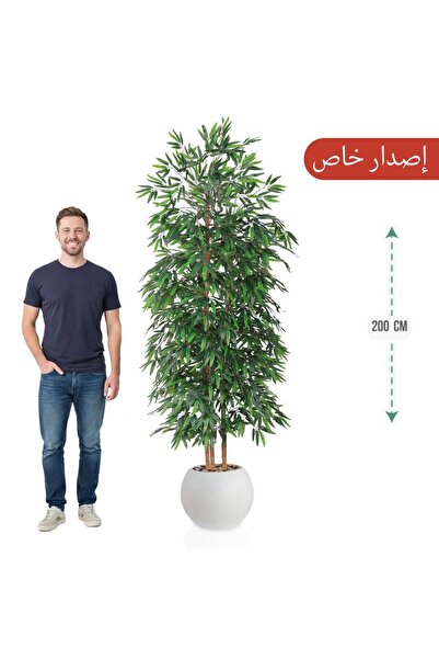 MARINO Three-branch bamboo tree, 200cm, for a round pot (special edition)
