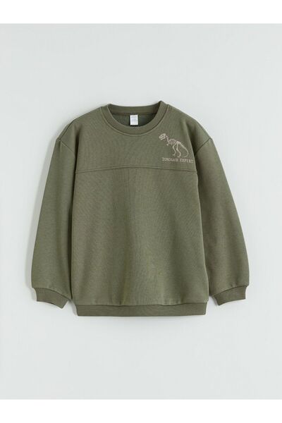 LC Waikiki Crew Neck Printed Boy's Thick Sweatshirt