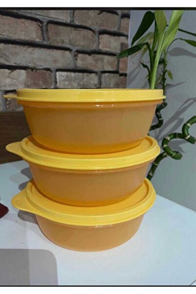 Tupperware SS Kap 3 x 630 Ml Bal rengi