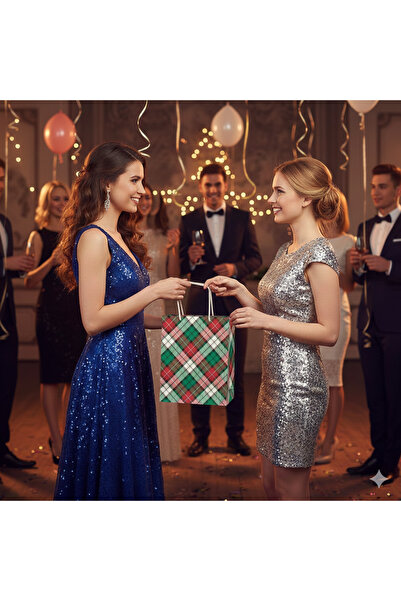 DODOMAR 25 X 30 X 9 cm – Gift Bag Plaid Pattern Model 5 Decorative Cardboard Bag