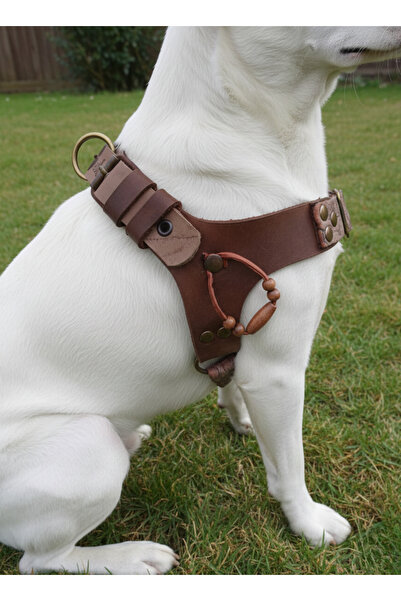 balkonda طوق للكلاب من فصيلة متوسطة وكبيرة الحجم قابل للتعديل من جلد المنك - أسمر