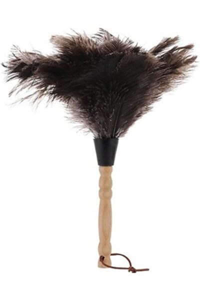 Promass منفضة ريش بغطاء واقٍ، مضادة للكهرباء الساكنة، مرنة وقابلة للطي لتنظيف الغبار، داخلية