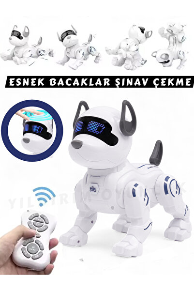 Magicway Robot Köpek Dans Eder Ninni Söyler Dokunmaya Duyarlı Kafa Sallama Mü...