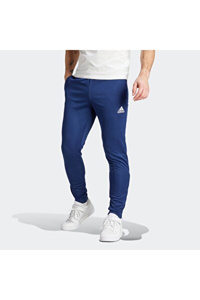 adidas Predt Eşofman Altı