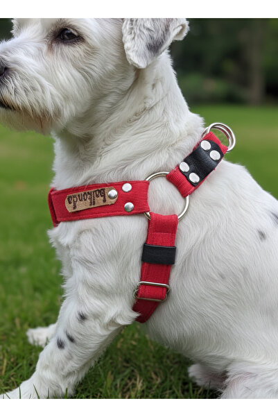 balkonda Dog Collar Small Breed Adjustable Velvet Red