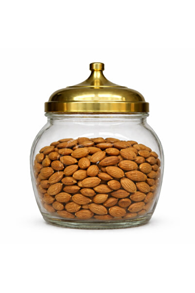 chakran store Büyük Boy Kalın Cam Çerez Akvaryumu Jontalı 10 Litre Kapaklı Yü...