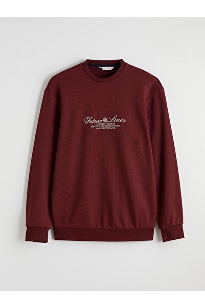 LC Waikiki Lcw Vision Crew Neck Printed Men's Sweatshirt