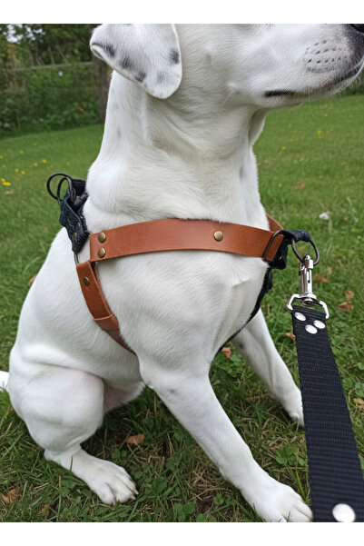 balkonda طوق للكلاب من الجلد والدنيم قابل للتعديل للسلالات المتوسطة والكبيرة، لون بني فاتح