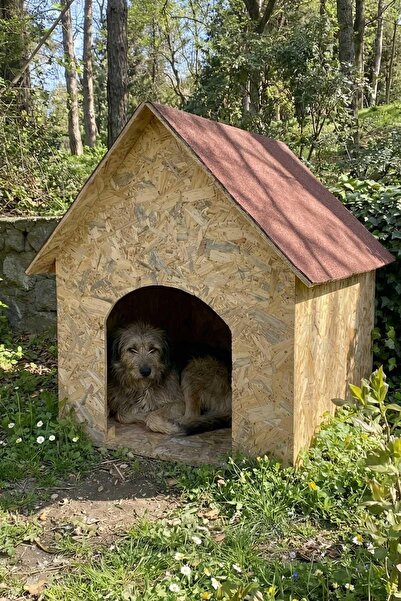 Reyo Köpek Kulübesi Büyük Boy OSB XL Kırmızı Çatılı100x100x78 cm