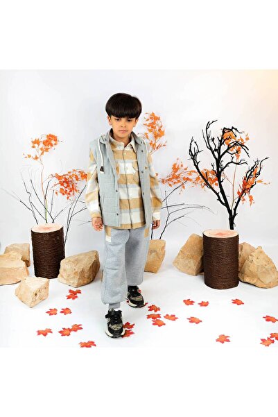 Mamnon Gray jale with a hat