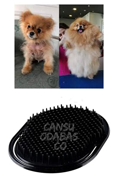 CANSU ODABAS CO Pomeranian Kıtık Yok Edici Deri Hava Alımını Sağlayan Tüy Kal...