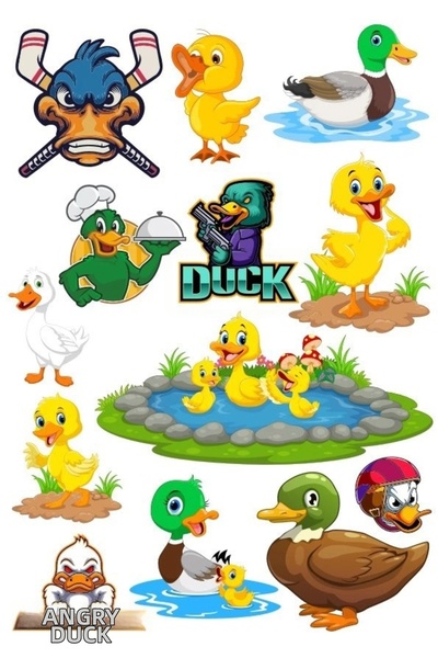 Reysa Tasarım مجموعة ملصقات تحت عنوان البطة-1 13 قطعة للهاتف والكمبيوتر اللوح...