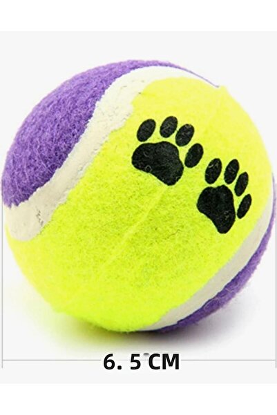 GOLD BE مجموعة كرات تنس ملونة للكلاب (4 قطع)