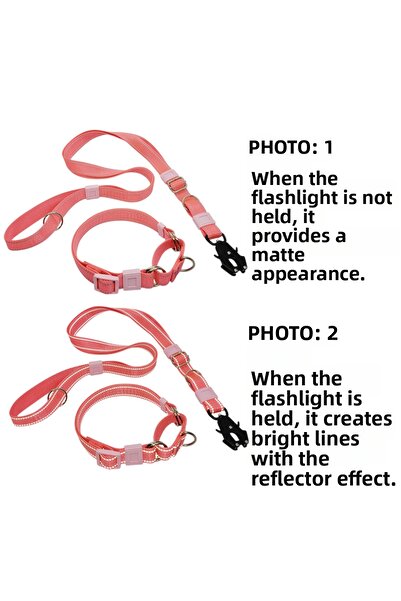 VSLT HANDMADE طقم طوق وحزام تدريب الكلاب مارتينجال مصنوع يدويًا وعاكس للضوء. ...