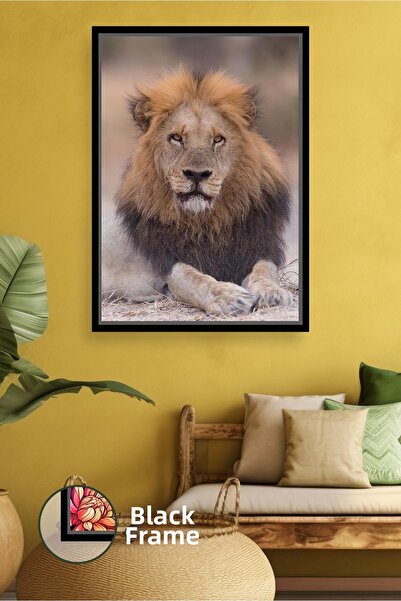 KOSS Dijital Poză cu leu în poziție înclinată, pictură cu animale de safari, ...