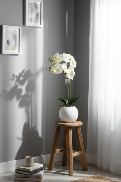 co arma شجرة صناعية محاكاة للشجر الاوركيد الطبيعي ب2 فروع وبحوض بلاستيكي بارتفاع 70 سم