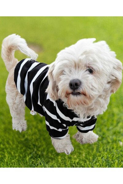 PATİBÖR Siyah Çizgili Ince Sweat