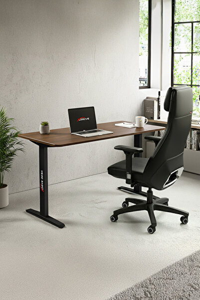 XDrive Rüzgar Çalışma Masası Barok (100x60)