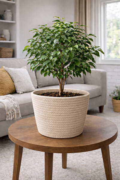 ÖRGÜM Saksı Kılıfı Dekorarif Bitki Sepeti 20x20 cm BİTKİ DAHİL DEĞİLDİR