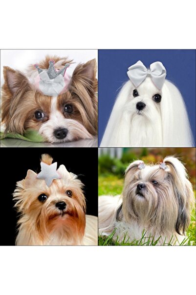 SSMEDIA Set 10 buc. fundite si accesorii prindere par pisici, caini mici/cate...