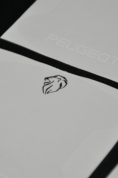 Home PEUGOET UYUMLU PPF KAPI KOLU ÇİZİK ÖNLEYİCİ FOLYO 8'Lİ SET