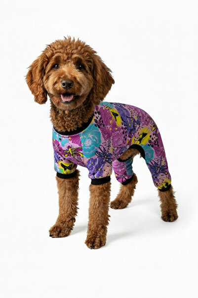 Yumuşak Tüylü Patiler Cat-Dog Butterfly Patterned Outfit - Small Breed