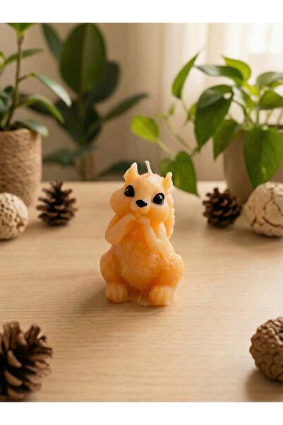 NovaNestbyYA Dekoratif Kokulu Sincap Mum | Ev & Ofis & Banyo | 7x5 cm | El Y ...