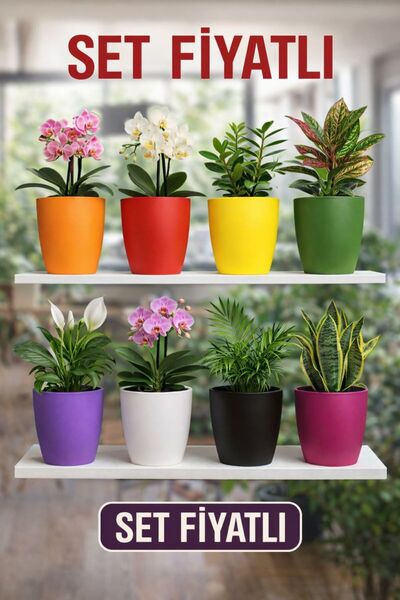 Plant Home Power Mix 9 Adet Rengarenk Dekoratif Orkide Saksısı - Orkide Dış Saksıları Toplu Fiyatı