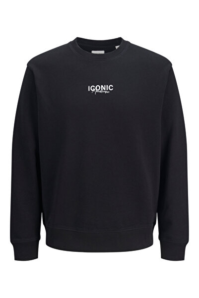 Jack & Jones JJECHARGE GRAPHIC SWEAT O-N STYD AW24 LN