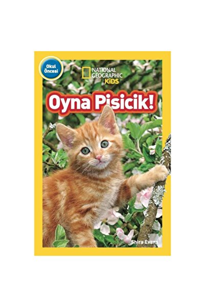 Beta Kids Yayınları Beta kids Oyna Pisicik!