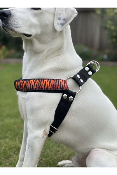 balkonda طوق للكلاب من نوع التايبل بنمط النمر، قابل للتعديل، مناسب للسلالات ا...