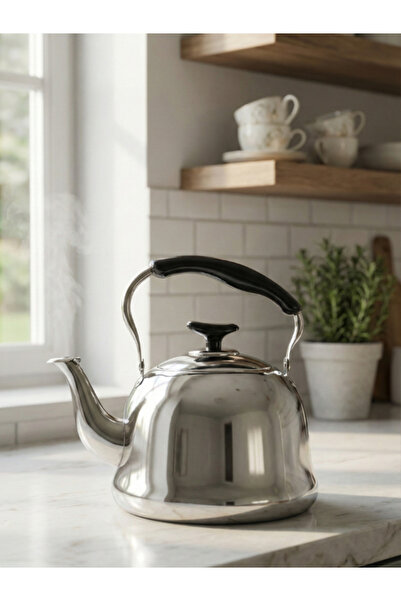 SQUALO إبريق ستانلس ستيل – سعة 3 لتر – عملي وأنيق للتسخين وتقديم المشروبات ال...