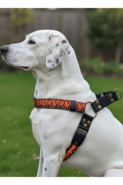 balkonda طوق للكلاب من نوع باراكورد قابل للتعديل بنمط النمر، مناسب للسلالات ا...