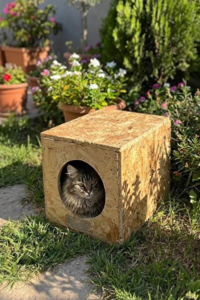 Reyo 34x27x24 Cm Kedi Evi Dış Ortam Uygun Ahşap Kedi Evi Osb Sokak Hayvanları...