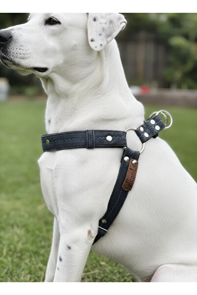 balkonda طوق للكلاب قابل للتعديل للسلالات الصغيرة والمتوسطة والكبيرة، لون رما...