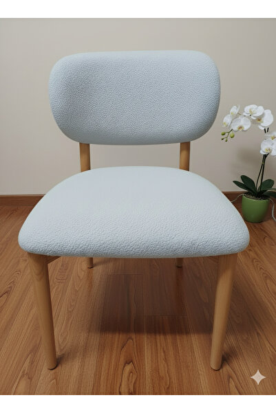 BASHTUGH TİCARET Apple Chair Cover Bohemian Chair Cover Diner Restaurant Kitc...