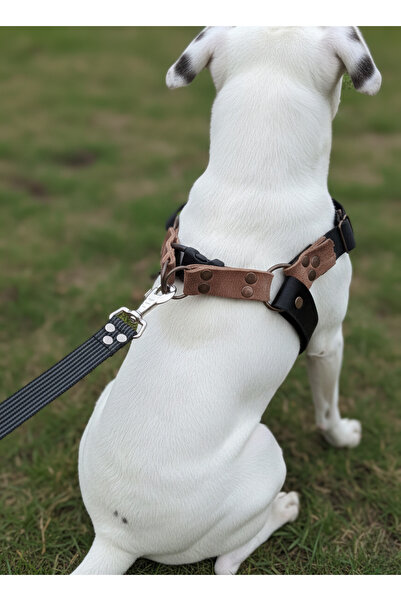 balkonda طوق للكلاب مناسب للسلالات الصغيرة والمتوسطة والكبيرة، حبل قابل للتعد...