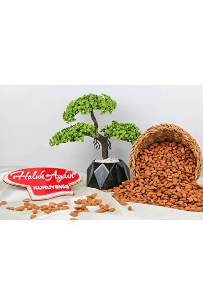 HALUK AYDIN KURUYEMİŞ Haluk Aydın Kuruyemiş Çiğ Kayısı Çekirdeği 500 G