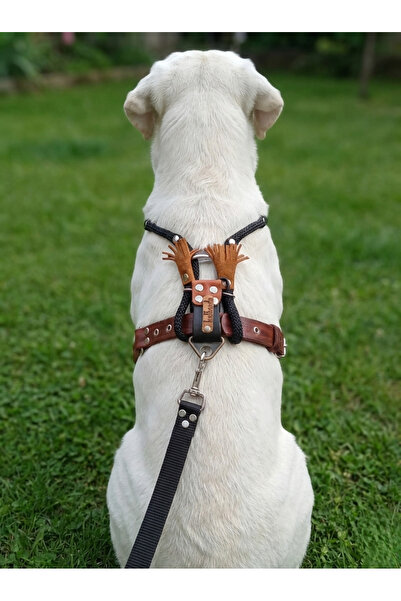 balkonda طوق للكلاب من السلالات الكبيرة قابل للتعديل من الأمام والخلف مع حبل ...