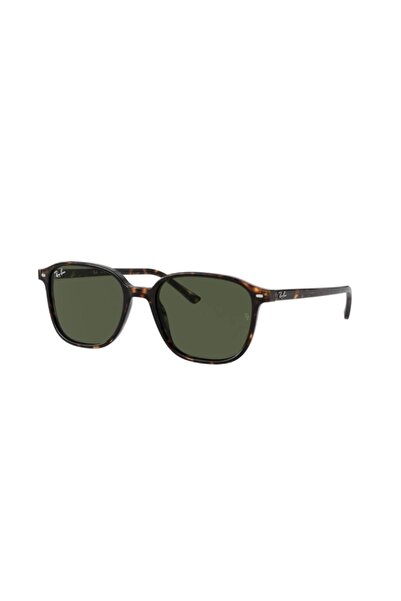 Ray-Ban 0RB 2193 902/31 55 Unisex Sunglasses