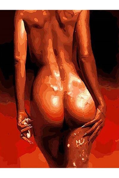 wombhobby Çekim Sayılarla Boyama Seti(40x50 Cm Tuval Şasesine Gerili)