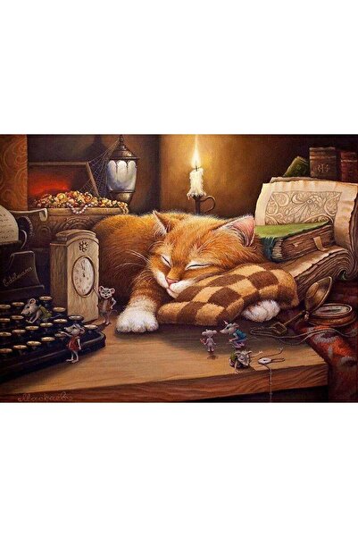 wombhobby Mırmır Şekerlemesi Sayılarla Boyama Seti 40x 50 Cm ( Tuval Şasesine...