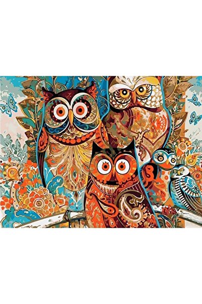 wombhobby Baykuş Sayılarla Boyama Seti 40x 50 Cm (TUVALE GERİLİ)