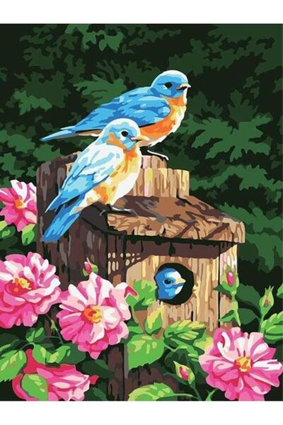 wombhobby Kuş Yuvası Sayılarla Boyama Seti 40x50 Cm (TUVALE GERİLİ)