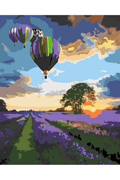 wombhobby Lavantalar Üstündeki Balonlar Sayılarla Boyama Seti 40x50 Çerçeveli...