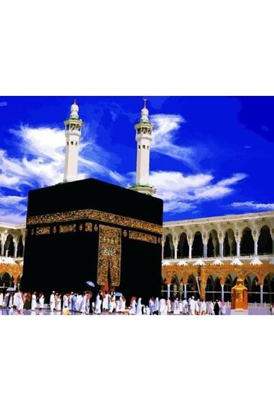 wombhobby Kabe Sayılarla Boyama Seti 40x 50 Cm (TUVALE GERİLİ)